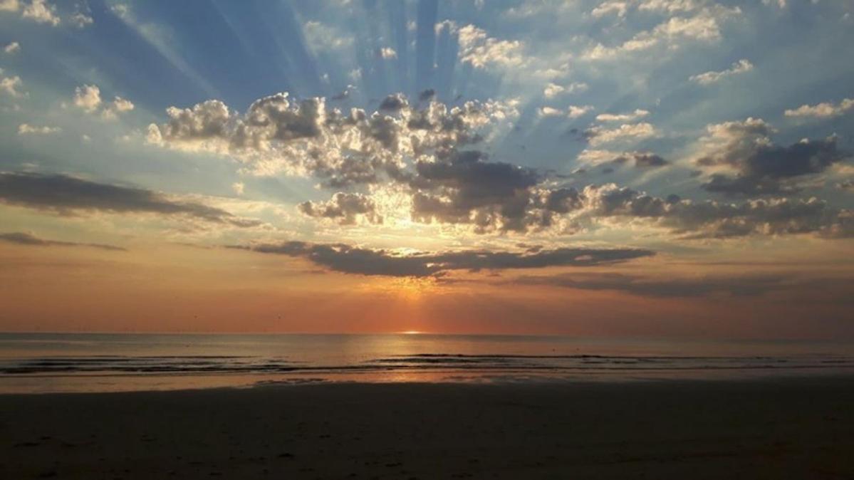 Strand83 Egmond aan Zee Ngoại thất bức ảnh